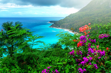 charmant paysage des Caraïbes