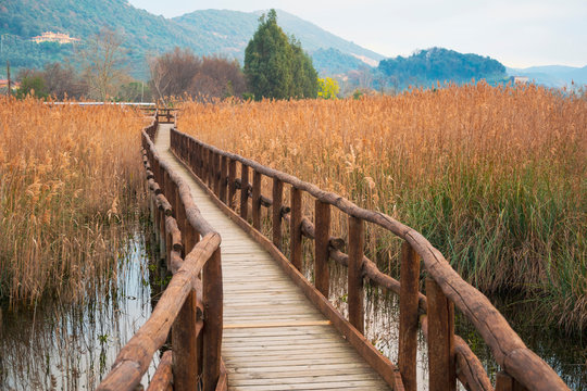 Passeggiata di legno sul Lago di Massaciuccoli - Riserva Naturale del Chiarone Oasi Lipu Massarosa Lucca