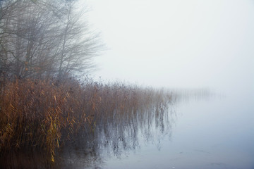 Obraz na płótnie Canvas zamglone jezioro, jesienny poranek