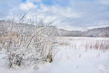 piękny zimowy krajobraz, jezioro