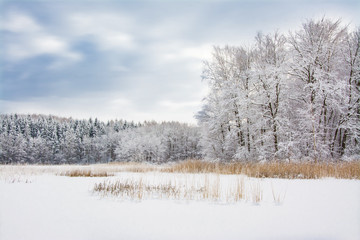 piękny zimowy krajobraz, jezioro