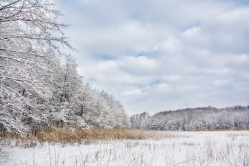 piękny zimowy krajobraz, jezioro