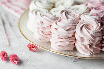 Obraz na płótnie Canvas dessert zephyr marshmallows close up. Big zephyr sprinkled with powdered sugar. Valentine's Day concept. Food photography