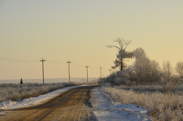Obraz premium road in winter