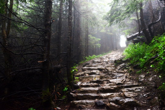 zamglony szlak w górach, las © VinyLove Foto