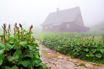 Fototapeta na wymiar górska chata, mgła, Tatry