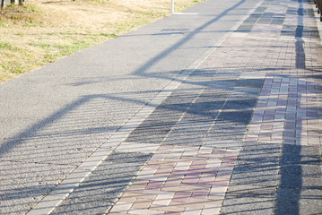 Fototapeta premium 歩道