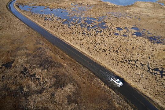 USA, Maryland, Cambridge, High tide flooding from rising sea levels at Blackwater National Wildlife Refuge