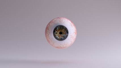 Human Eyeball with Pinpoint Pupil 3d illustration 3d render