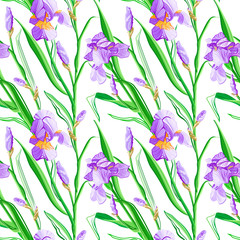 Floral pattern with iris flowers. Seamless pattern with colorful iris flowers.