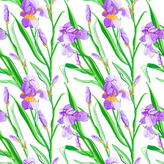 Floral pattern with iris flowers. Seamless vector pattern with colorful iris flowers.
