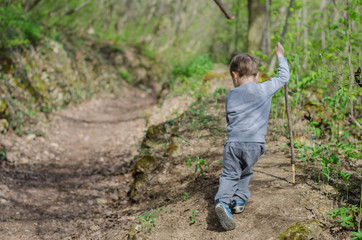 Naklejka na ściany i meble Boy walk or hike through the forest in early spring