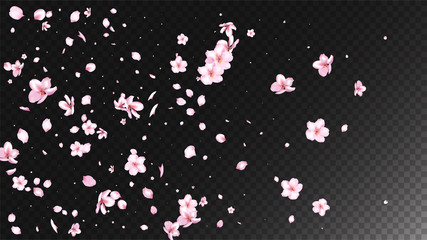 Nice Sakura Blossom Isolated Vector. Feminine Blowing 3d Petals Wedding Frame. Japanese Beauty Spa Flowers Illustration. Valentine, Mother's Day Watercolor Nice Sakura Blossom Isolated on Black