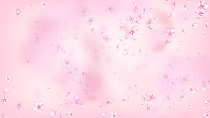 Nice Sakura Blossom Isolated Vector. Pastel Blowing 3d Petals Wedding Design. Japanese Gradient Flowers Illustration. Valentine, Mother's Day Tender Nice Sakura Blossom Isolated on Rose