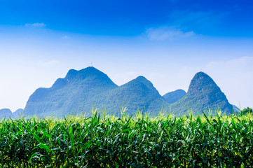 Mountain and fields scenery