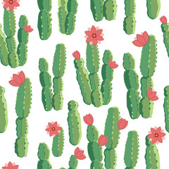 botanical illustration with Peruvian cactus. Vector seamless pattern on white background. Summer plants.