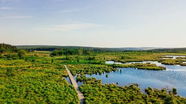 Moor Landschaft als Panorama im Hohes Venn mit See, B&auml;umen und einem Trampelpfad