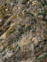Background of stone rock close-up