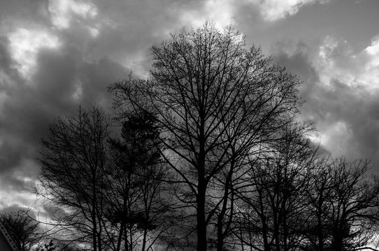 moody evening sky in black and white