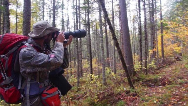 Tourist with big camera takes photos of autumn Sikhote-Alin Reserve forest