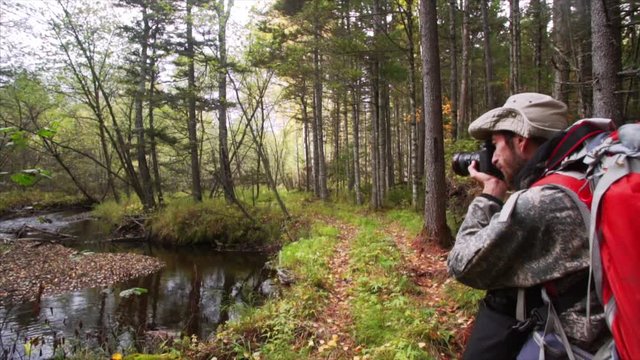 Tourist takes photos of autumn Sikhote-Alin Reserve forest and pond. Russia