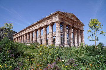 Fototapeta premium temple of Segesta in Sicily