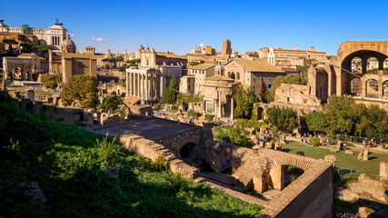 Naklejka premium Ancient Architecture of the Roman Forum Ruins in Rome, Italy