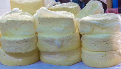 Cheese