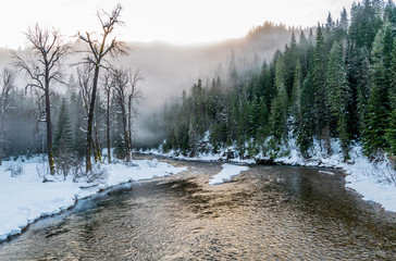 River in winter fog