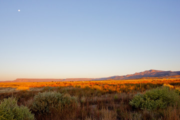 New Mexico desert landscape at sunrise with moon in a clear blue sky