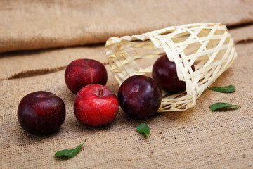 fresh plum fruit  on burlap background