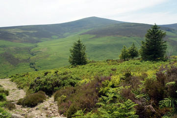Obraz premium Landscapes of Wicklow Mountain.Ireland.
