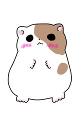 ゴールデンハムスター（２）