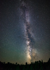 Vertical Portrait of an Erect Milky Way