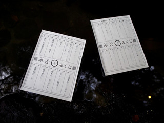 貴船神社のおみくじ