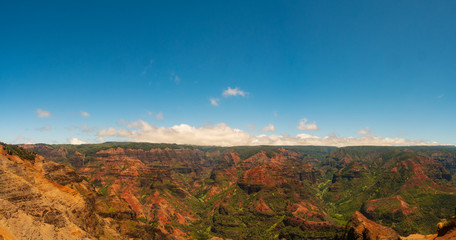Fototapeta na wymiar Kauai's Waimea Canyon