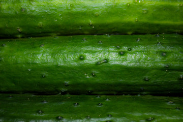 cucumber  background