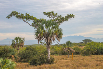 Obraz premium Creciendo juntos 