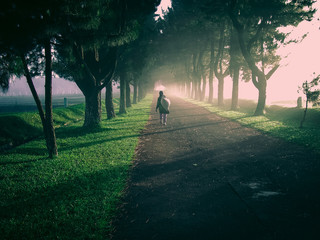 an old women walking in the road beside the trees in indonesia