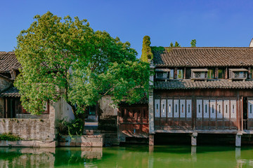 Traditional Chinese houses and trees by water, in the old town of Wuzhen, China