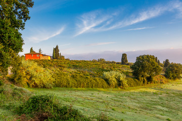Farmhouse and vineyard in Tuscany Italy