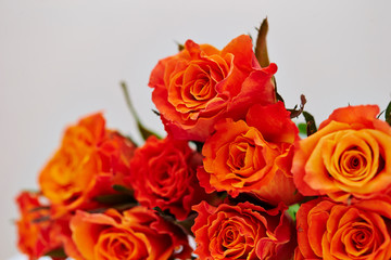 bouquet of red roses