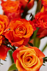 Fototapeta premium bouquet of red roses
