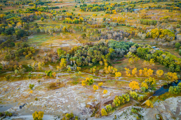 Autumn leaves aerial footage