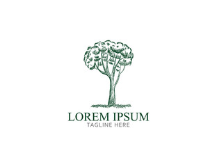 tree hand drawn logo template
