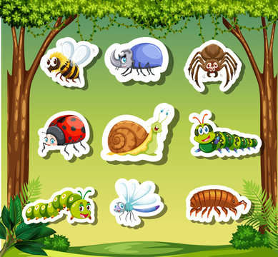 Set insect sticker template