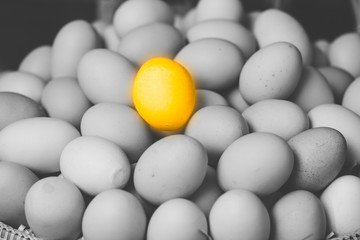 golden egg for difference unique leader outstanding performance person concept.