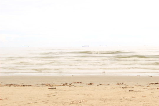 GALVESTON