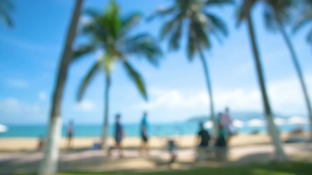 Blur view beach, palm, chairs, umbrellas. Royalty high-quality stock video footage beautiful tropical sandy beach, summer nature beach, blue sky, coconut palm trees. Blur, blurry, defocused background