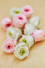 roses on a wooden background